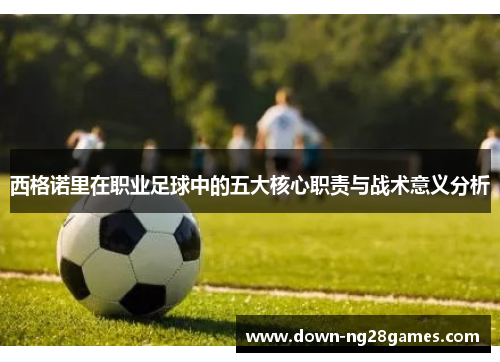 西格诺里在职业足球中的五大核心职责与战术意义分析 西格诺里在职业足球中的五大核心职责与战术意义分析