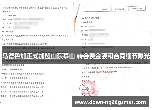 马德鲁加正式加盟山东泰山 转会费金额和合同细节曝光 马德鲁加正式加盟山东泰山 转会费金额和合同细节曝光