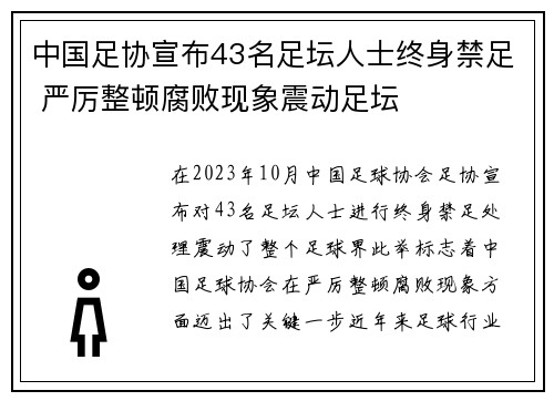中国足协宣布43名足坛人士终身禁足 严厉整顿腐败现象震动足坛